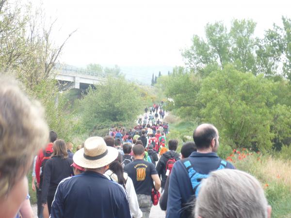 28 de Abril de 2015   Torà -  Sònia