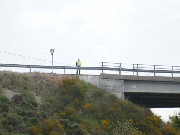 28 de Abril de 2015   Torà -  Sònia Castelló