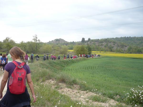 28 de Abril de 2015   -  Sònia Castelló