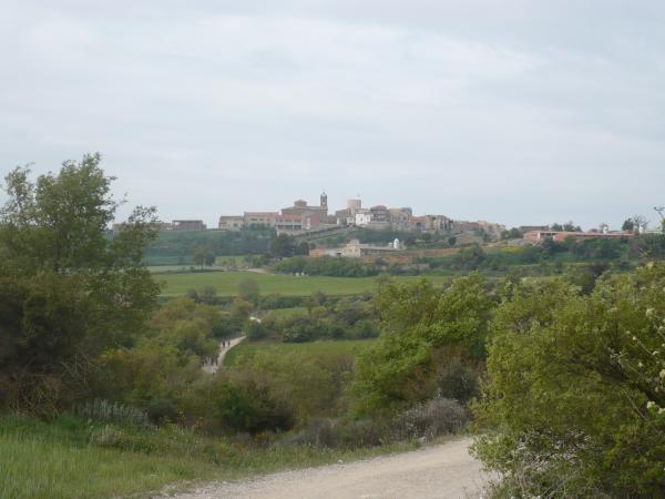 28 de Abril de 2015   -  Sònia Castelló