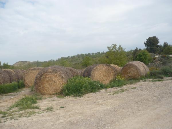 28 de Abril de 2015   -  Sònia Castelló