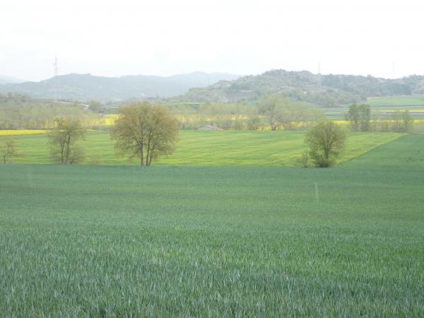 28 de Abril de 2015   -  Sònia Castelló