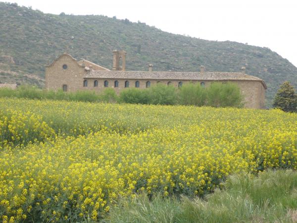 28 de Abril de 2015 Convent  Torà -  Sònia Castelló