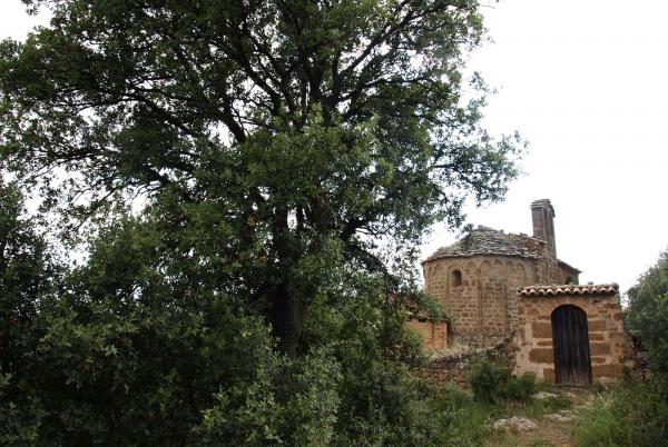 29 de Abril de 2013 Ermita Sant Pere de mas Pujol  Les Cases de la Serra -  Jaume Moya