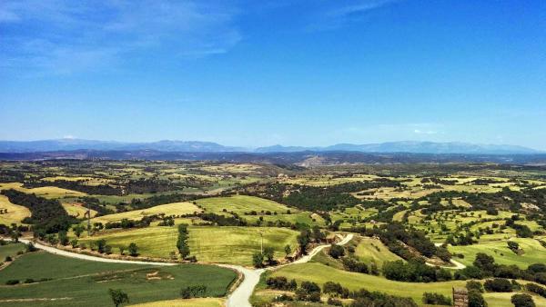 10 de Maig de 2015 Paisatge de la Vall  Palou -  Ramon Sunyer