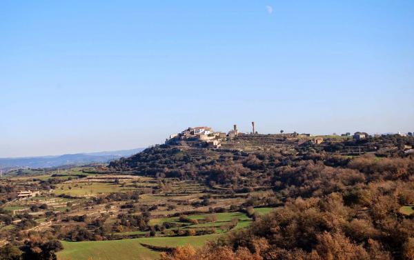 2 de Gener de 2015 vista del poble  Palou -  Ramon Sunyer