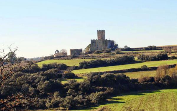 22 de Maig de 2015 Castell de les Sitges  Florejacs -  Ramon Sunyer