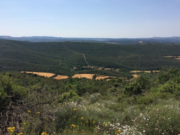 2 de Juny de 2015 vista de la vall de Cellers  Claret -  Grans Reptes