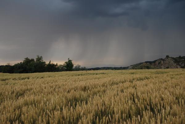 31 de Maig de 2015 la tempesta s'atansa  Torà -  Ramon Sunyer