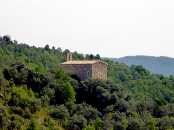 11 de Juny de 2015 Ermita de Santa Perpètua  Vilanova de l'Aguda -  Isidre Blanc