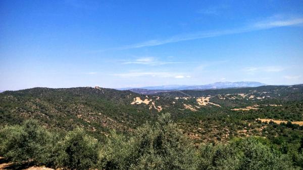 21 de Juny de 2015 Vista de Figuera d'Aguda  Ribelles -  Ramon Sunyer