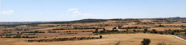 19 de Juliol de 2015 Des de mas Nadal cap a Massoteres  Selvanera -  Ramon Sunyer