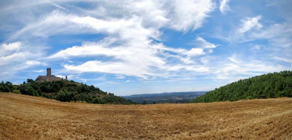 26 de Juliol de 2015 Castell  Boixadors -  Ramon Sunyer