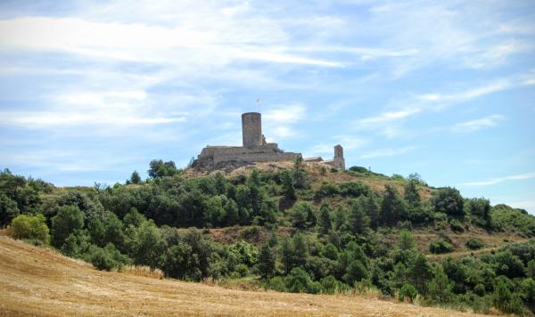 26 de Juliol de 2015 Castell  Boixadors -  Ramon Sunyer