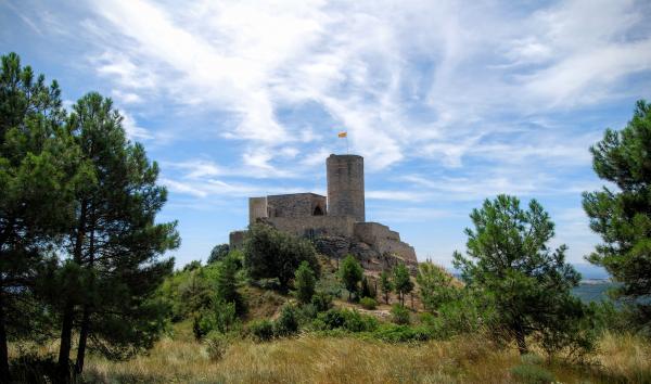 26 de Juliol de 2015 Castell  Boixadors -  Ramon Sunyer