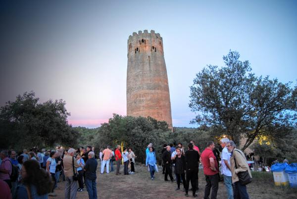 Visitants a redós de la torre