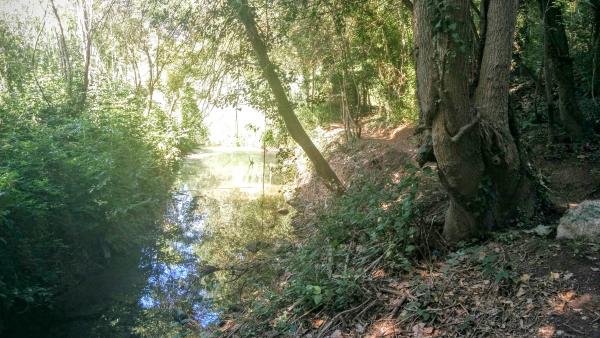 9 de Agost de 2015 camí a la font dels Dolors  Torà -  Ramon Sunyer