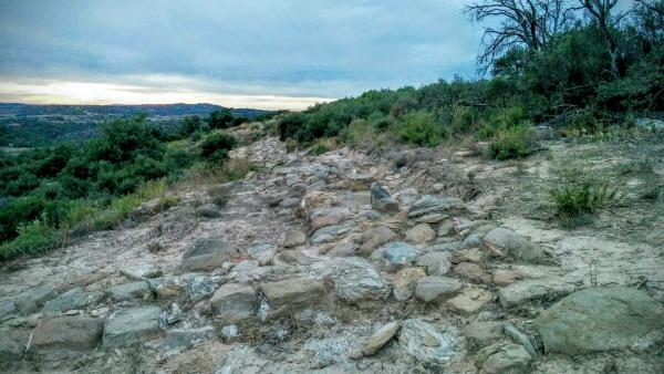 14 de Agost de 2015 Jaciment romà de Puig_Castellar  Biosca -  Ramon Sunyer