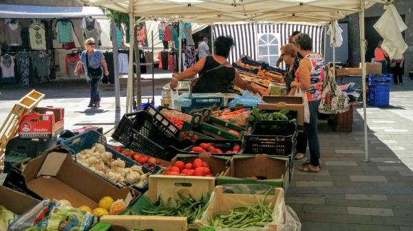 14.8.2015 Mercat del divendres  Torà -  Ramon Sunyer