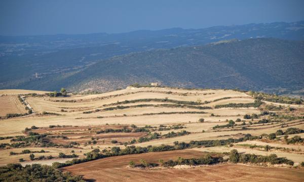 17 de Agost de 2015 Vista general de sant Pere dels Murinyols  Torà -  Ramon Sunyer