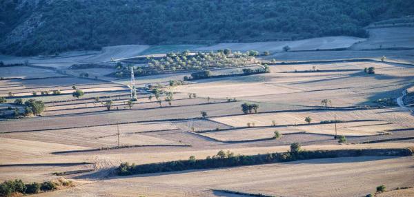 21 de Agost de 2015 Vista de les Torrovelles  Torà -  Ramon Sunyer