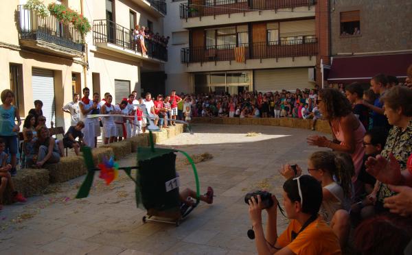 29 de Agost de 2015 2a Baixada d'andròmines  Torà -  Ramon Sunyer