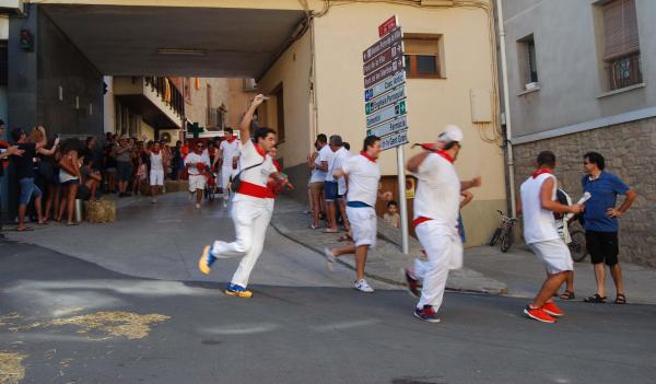 29.8.2015 2a Baixada d'andròmines  Torà -  Ramon Sunyer