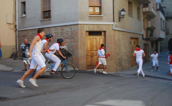 29 de Agost de 2015 2a Baixada d'andròmines  Torà -  Ramon Sunyer