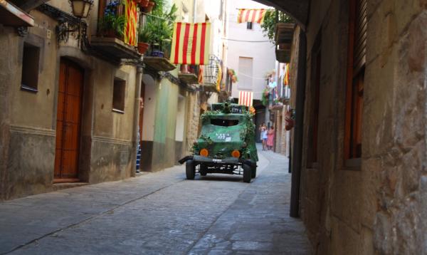 29.8.2015 2a Baixada d'andròmines  Torà -  Ramon Sunyer