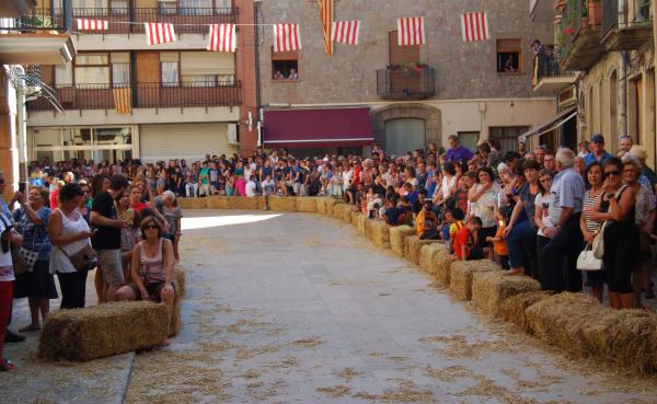 29 de Agost de 2015 2a Baixada d'andròmines  Torà -  Ramon Sunyer