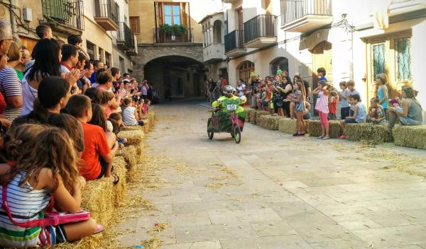 29 de Agost de 2015 2a Baixada d'andròmines  Torà -  Ramon Sunyer