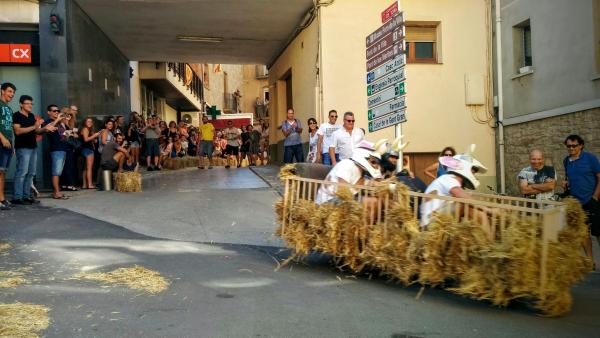 29.8.2015 2a Baixada d'andròmines  Torà -  Ramon Sunyer