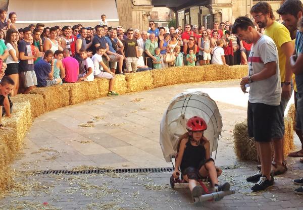 29 de Agost de 2015 Baixada d'andròmines  Torà -  Xavier Sunyer