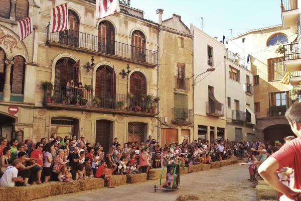 29 de Agost de 2015 Baixada d'andròmines  Torà -  Xavier Sunyer