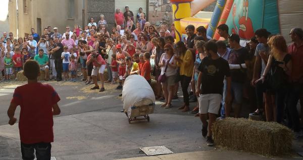 29.8.2015 Baixada d'andròmines  Torà -  Xavier Sunyer