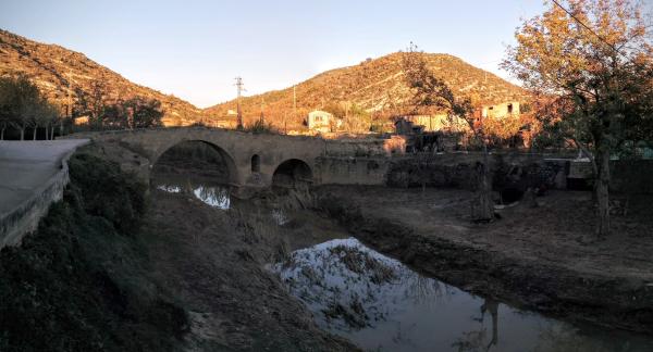 5 de Novembre de 2015 Pont de les Merites  Torà -  Ramon Sunyer