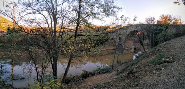 5 de Novembre de 2015 El Llanera  Torà -  Ramon Sunyer