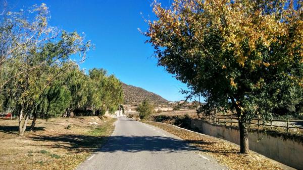 8 de Novembre de 2015 parc  Torà -  Ramon Sunyer