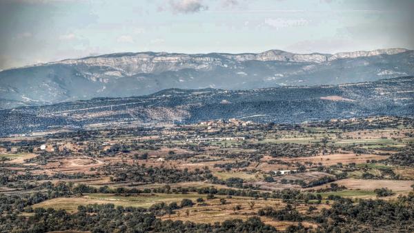 22 de Novembre de 2015 L'Alzina i Vilalta des de Palou   Vilalta -  Ramon Sunyer