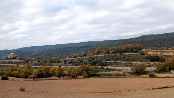 7 de Desembre de 2015 Valldàries  Vilanova de l'Aguda -  Ramon Sunyer