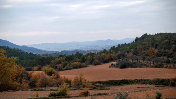 7 de Desembre de 2015 Valldàries  Vilanova de l'Aguda -  Ramon Sunyer