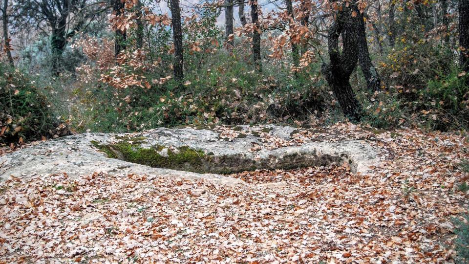 20 de Desembre de 2015 Tomba altmedieval a Mas Vilella  Vallferosa -  Ramon Sunyer