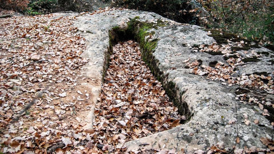 20 de Desembre de 2015 Tomba altmedieval a Mas Vilella  Vallferosa -  Ramon Sunyer