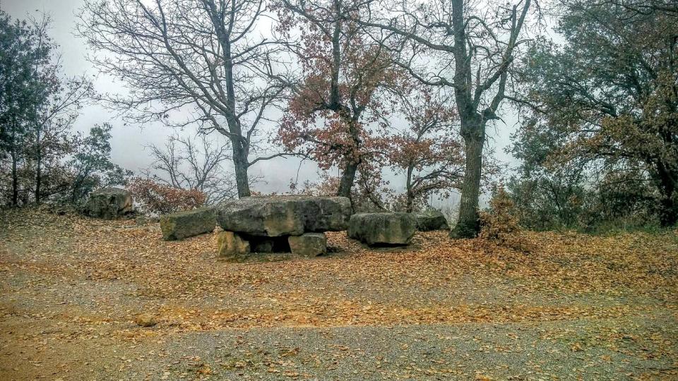 20 de Desembre de 2015 taula pedra  Vallferosa -  Ramon Sunyer