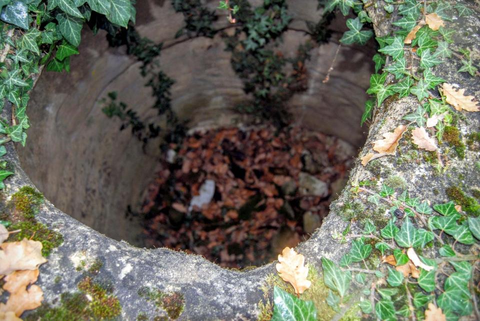 20 de Desembre de 2015 cup de vi a Salomons  Vallferosa -  Ramon Sunyer