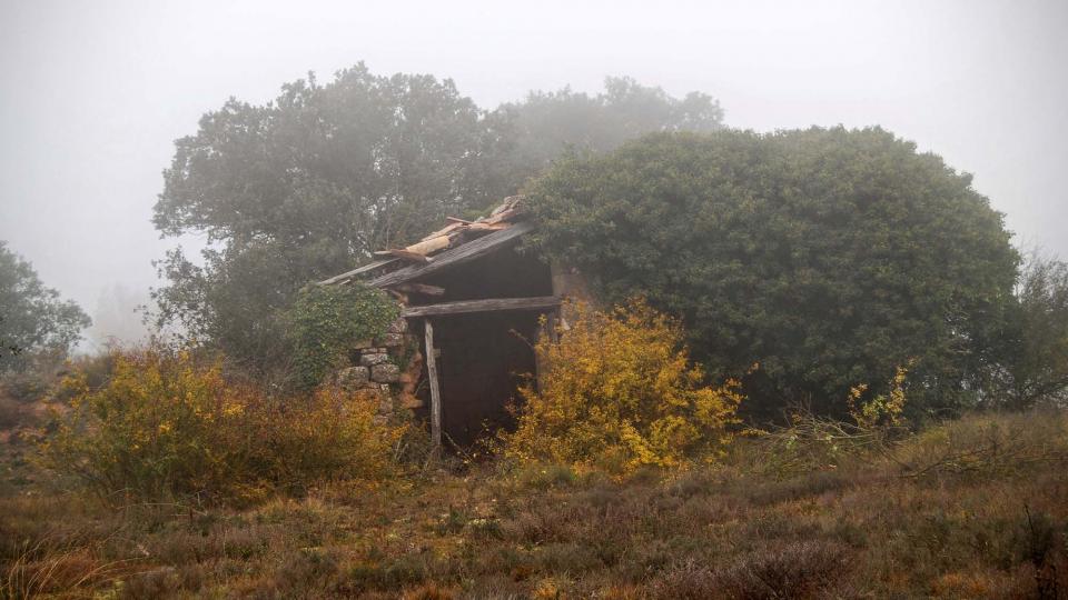 20 de Desembre de 2015 cabana a Salomons  Vallferosa -  Ramon Sunyer