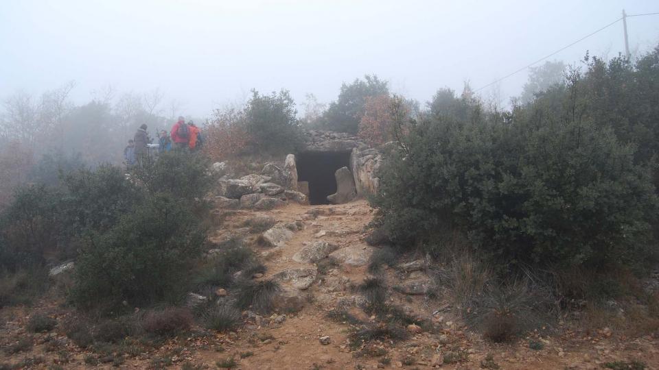 20 de Desembre de 2015 Dolmen el solstici d'hivern  Llanera -  Ramon Sunyer