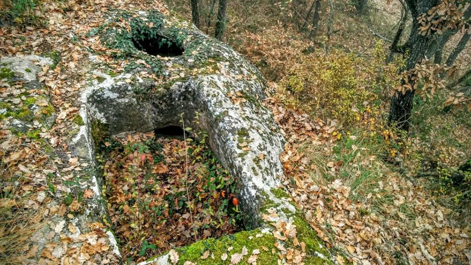 20 de Desembre de 2015 Piador i cup a Salomons  Vallferosa -  Ramon Sunyer