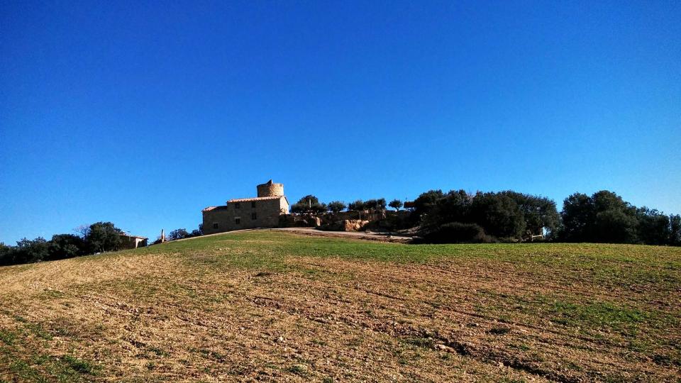 27 de Desembre de 2015 Mas la Torre  Lloberola -  Ramon Sunyer