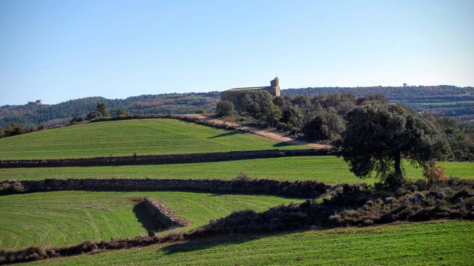 27 de Desembre de 2015 Sta Maria  Lloberola -  Ramon Sunyer